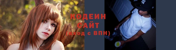 не бодяженный Алексин