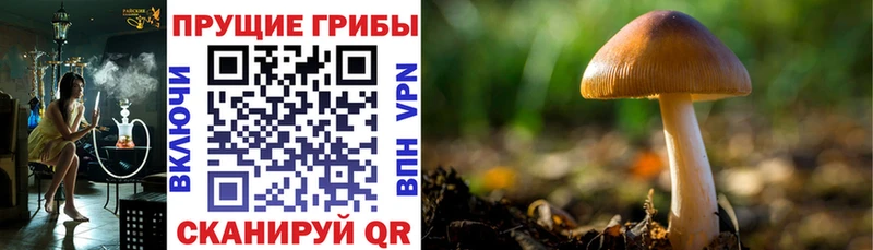 Галлюциногенные грибы ЛСД  купить   Поронайск 